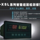 智能巡檢儀 NZ-XSL